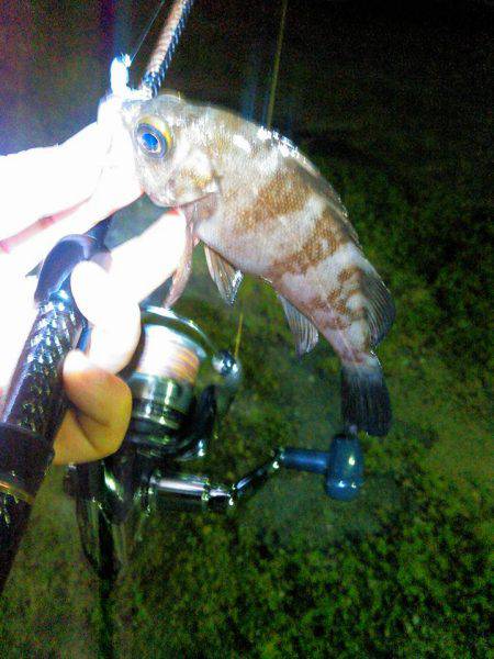 向かい風はしんどい